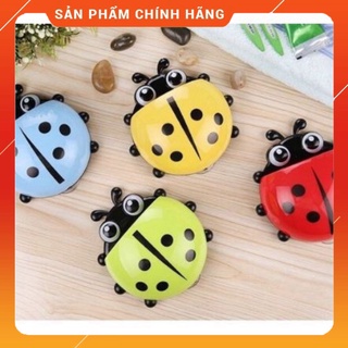 Dụng cụ để bàn chải hình bọ cánh cứng