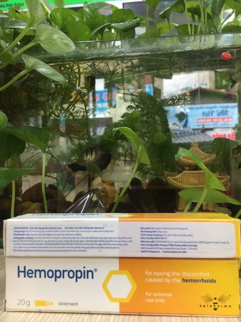 (nhập khẩu)HEMOPROPIN hết nỗi lo bệnh trĩ | BigBuy360 - bigbuy360.vn