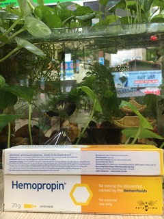 (nhập khẩu)HEMOPROPIN hết nỗi lo bệnh trĩ