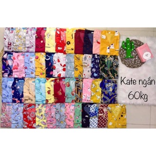 Đồ bộ pijama Thái tay ngắn quần ngắn ( hình thật và video)