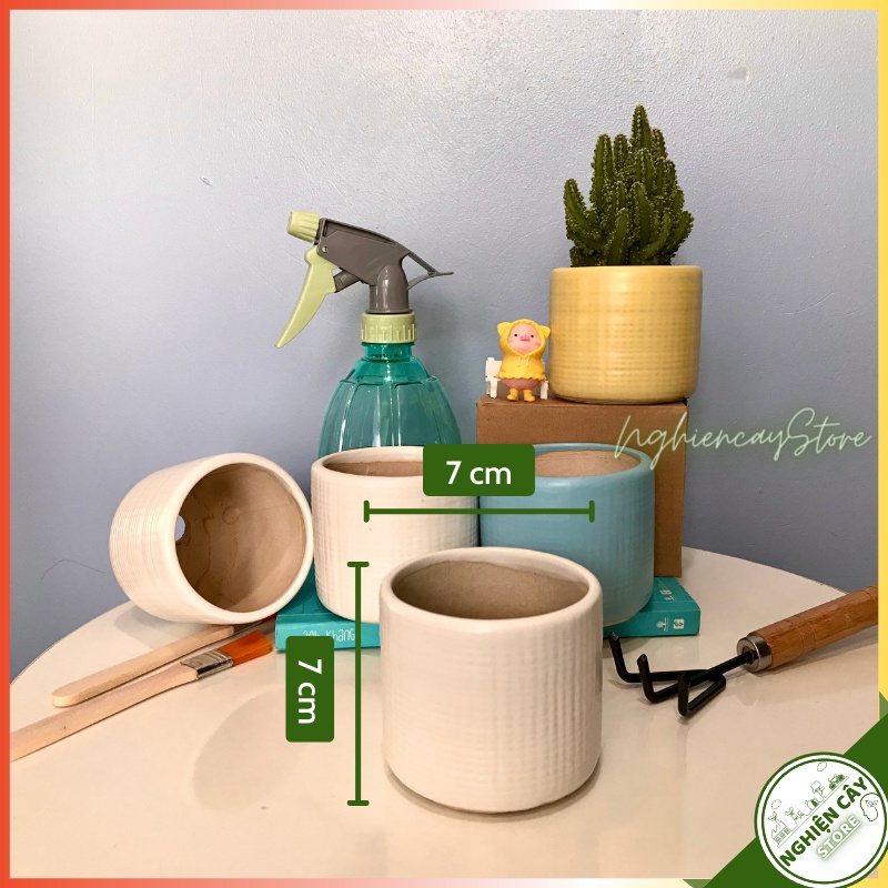 Chậu gốm mini hoạ tiết tăm trồng sen đá, xương rồng, cây cảnh để bàn