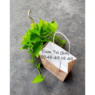 Túi giấy có quai  in hoa văn