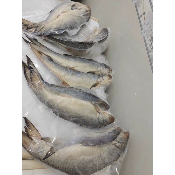 KHÔ CÁ CHÉT MUỐI DÙI 6-700gr/1con