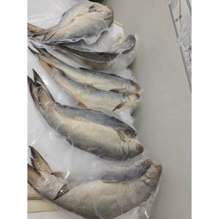 Khô cá chét muối dùi 5-600gr/1con