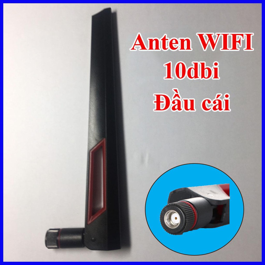 Anten thu phát Wifi Asus 10dbi anten router wifi gaming | BigBuy360 - bigbuy360.vn