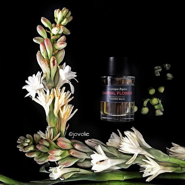 ( Chiết ) Mẫu thử nước hoa frederic malle carnal flower 10ml dạng xịt. | Thế Giới Skin Care