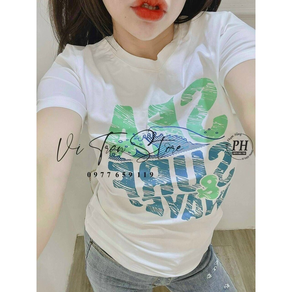 Áo thun nữ cổ tròn vải Cotton co giãn, thoáng mát ( Kèm VIDEO )
