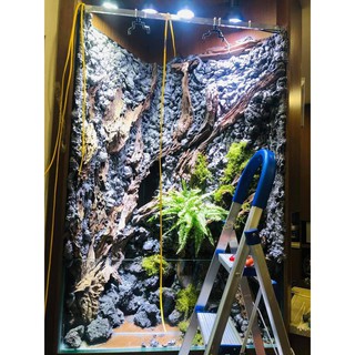 FOAM MIUS - bọt tạo hình khối bán cạn