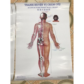 Tranh Châm Cứu 3 Tờ khác nhau