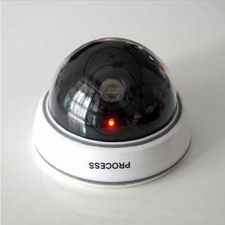 Camera mô hình giống thật chống trộm CAFV2
