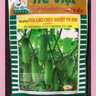 HẠT GIỐNG DƯA LEO CHỊU NHIỆT TV-108 (10gr)