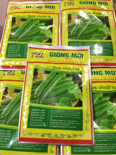 HẠT GIỐNG DƯA CHUỘT TA