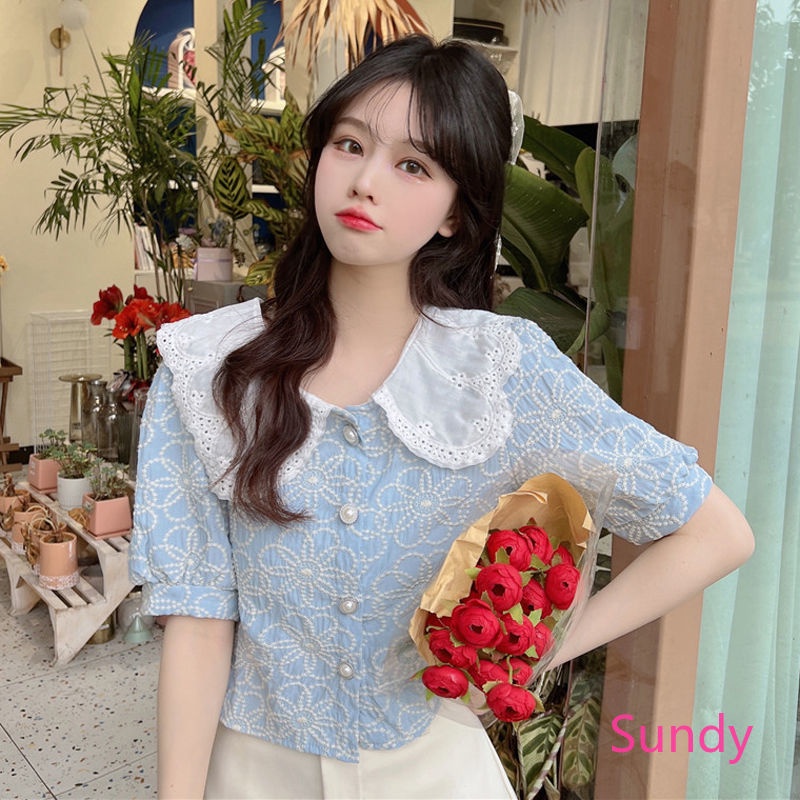 Áo Tay Ngắn Thêu Họa Tiết Plus Size Cho Nữ