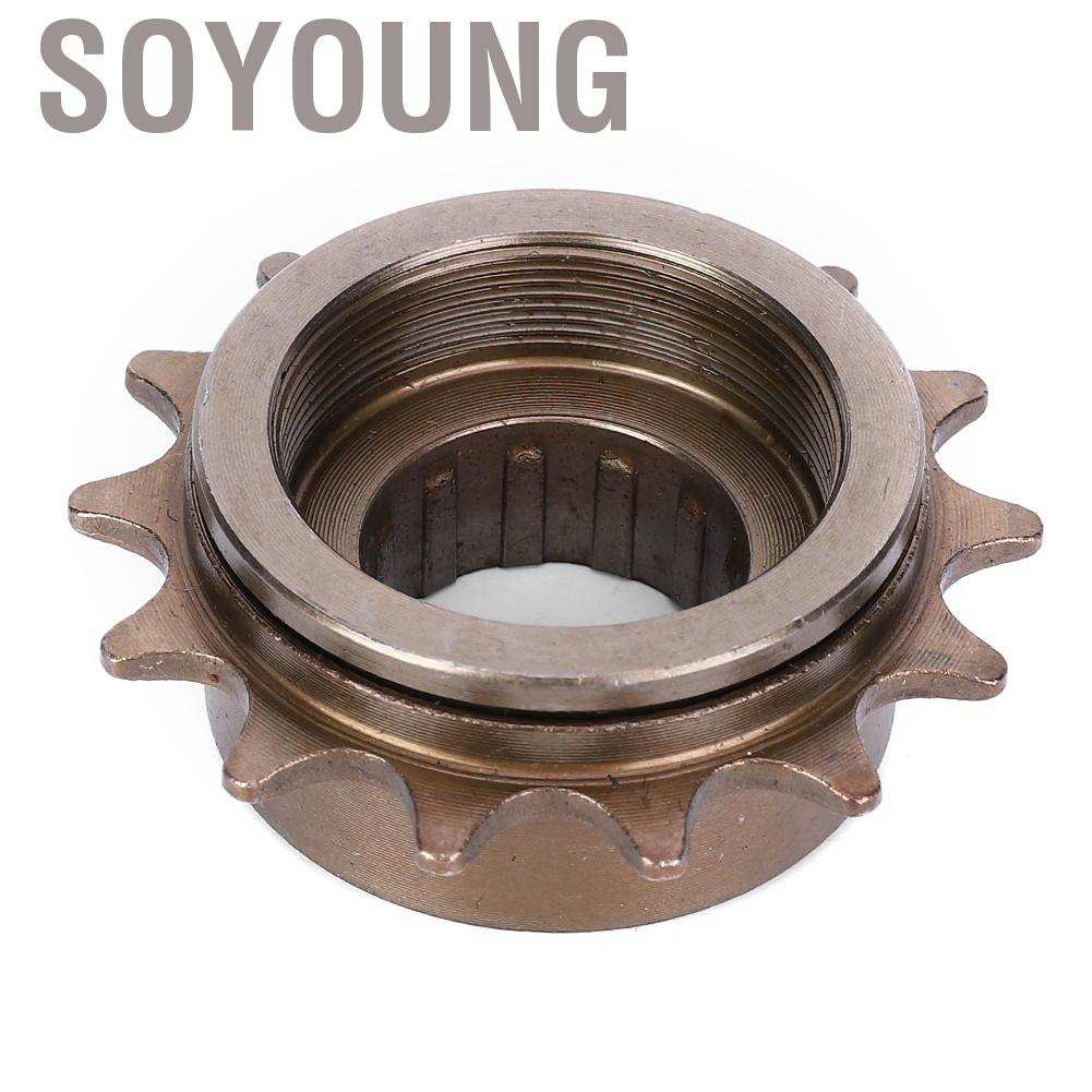 Soyoung 14T Single Speed Freewheel Flywheel Bike Accessory for Mountain Road Bicycle Folding