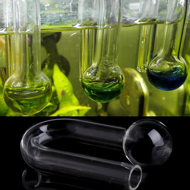 Thiết Bị Kiểm Tra Co2 Cho Bể Cá