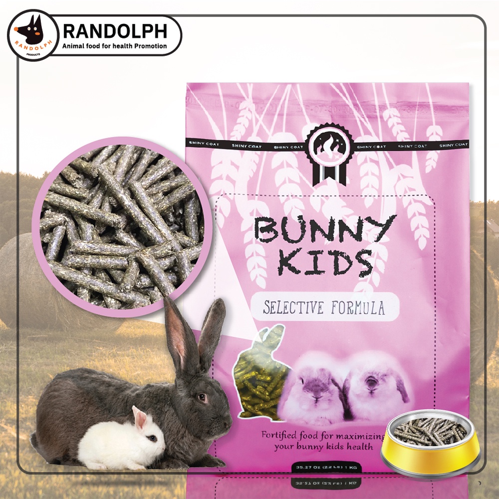 Nén Bunny Kids Thỏ Bọ Chinchilla Sóc  FREE SHIP  Bọ Chinchilla Sóc Randolph Bunny Kids