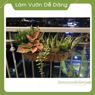 Chậu xơ dừa, chậu ban công, chậu sắt treo ban công, CHẬU BÁN NGUYỆT MÓC BAN CÔNG
