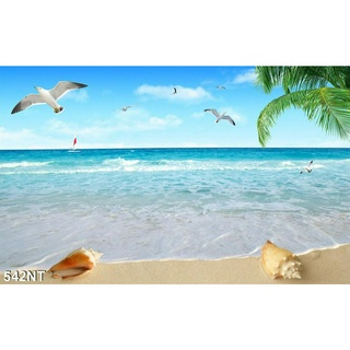 TRANH DÁN TƯỜNG 3D PHONG CẢNH BIỂN ĐẸP 542NT  -  TRANH DÁN TƯỜNG BÃI BIỂN BỜ CÁT