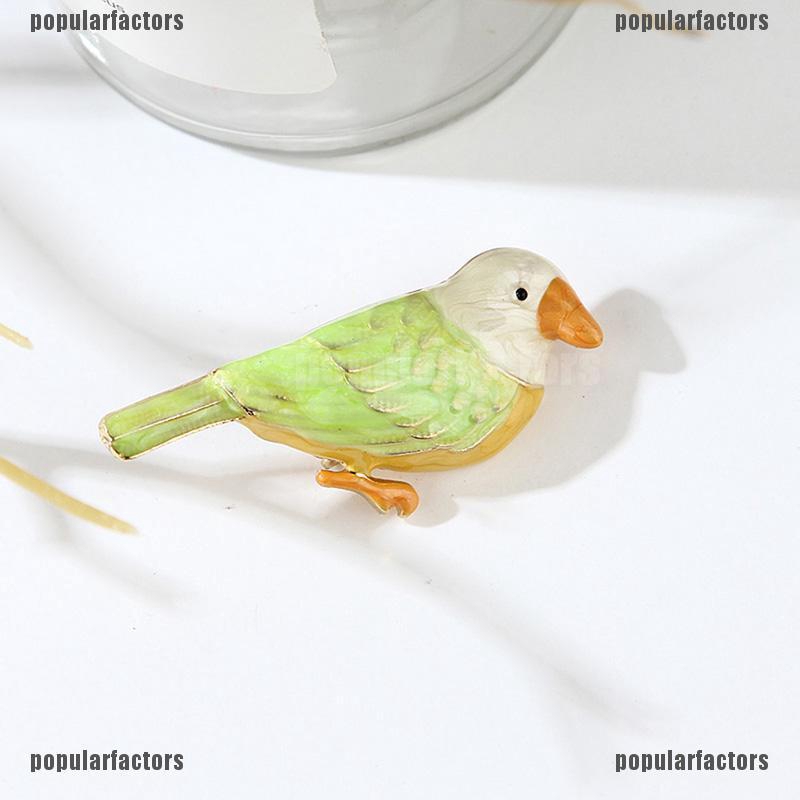 Chú Chim Độc Đáo