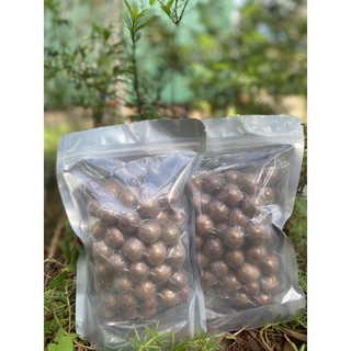 Macca hạt sấy Đăk Lăk