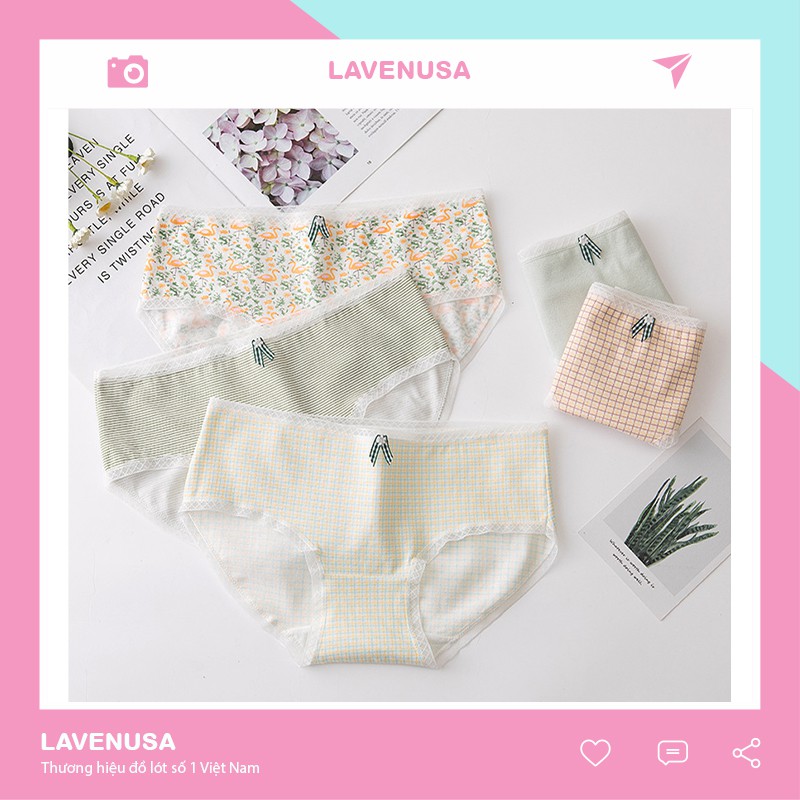 Quần lót nữ cotton cao cấp kháng khuẩn in hoạ tiết co giãn 4 chiều QL59