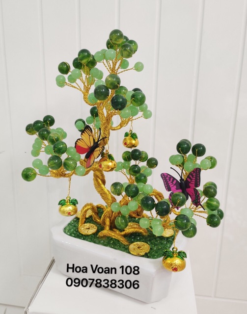 Cây kiểng bằng hột đá cao 30cm