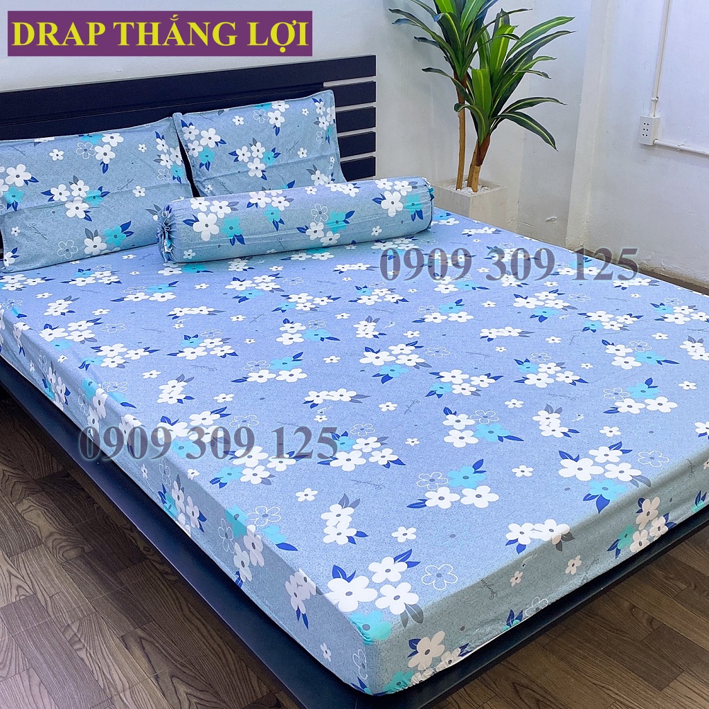 Drap Thắng Lợi, ga giường cao cấp cotton thoáng mát chuẩn logo mẫu HOA MAI XÁM
