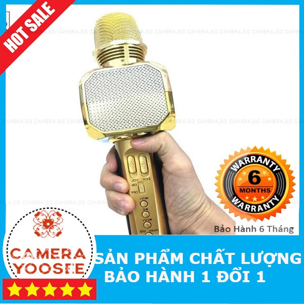Micro Karaoke Kiêm Loa Bluetooth Sd10 Chính hãng