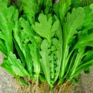 [ Freeship 50k ] Hạt giống rau tần ô - Tặng thêm gói hạt giống ngẫu nhiên