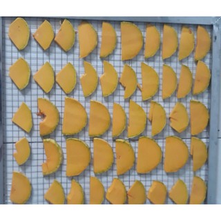 Bí đỏ khô 100g