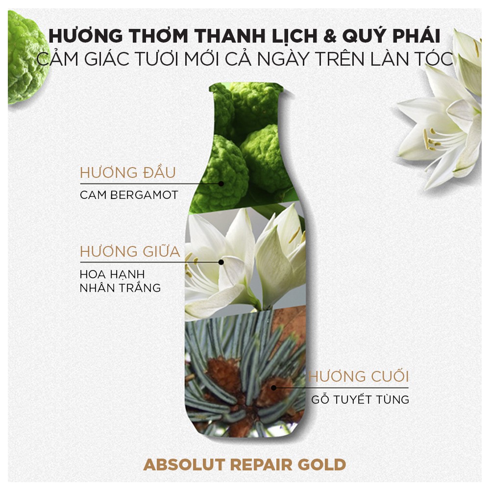 Tinh dầu phục hồi hư tổn toàn diện Serie Expert Absolut Repair Gold 50ml