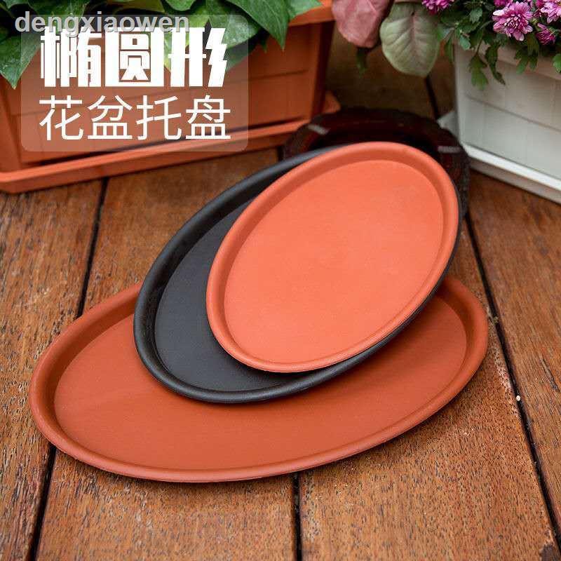 Khay Trồng Cây Cảnh Hình Oval Bằng Nhựa Dày Dặn Kích Thước Lớn Đến 11