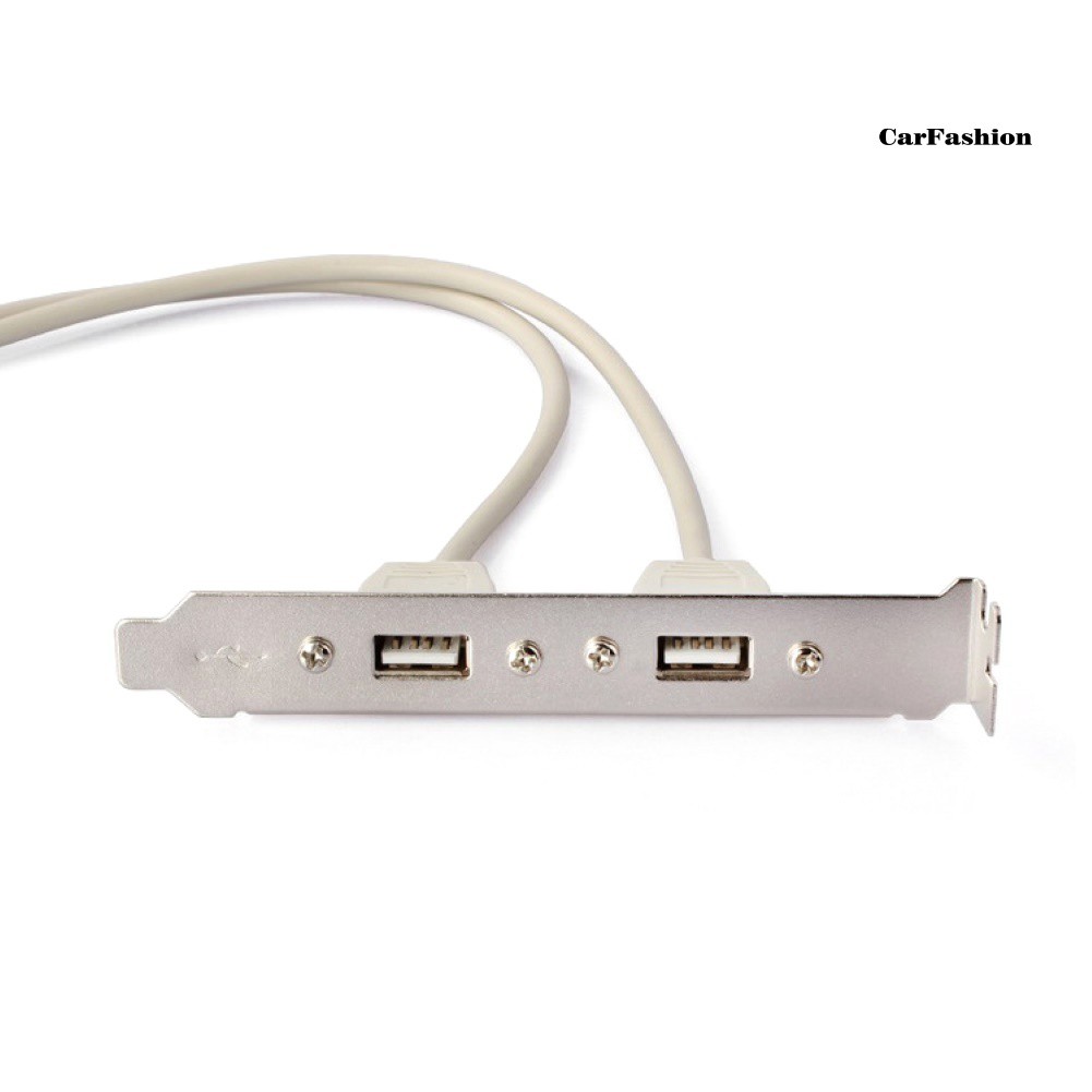 Cáp Chuyển Đổi Chs30cm 9 Pin Female Sang Dual Port Usb 2.0a Female