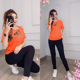 SET BỘ THUN DÀI THỜI TRANG NỮ 3 SIZE 45-65KG TÙY CHIỀU CAO