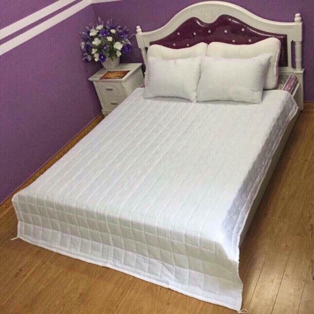 Ruột chăn hè Eviko