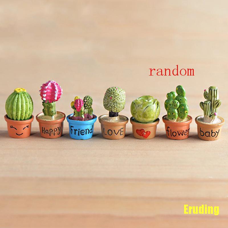 Cây Xương Rồng Mini Trang Trí Sân Vườn