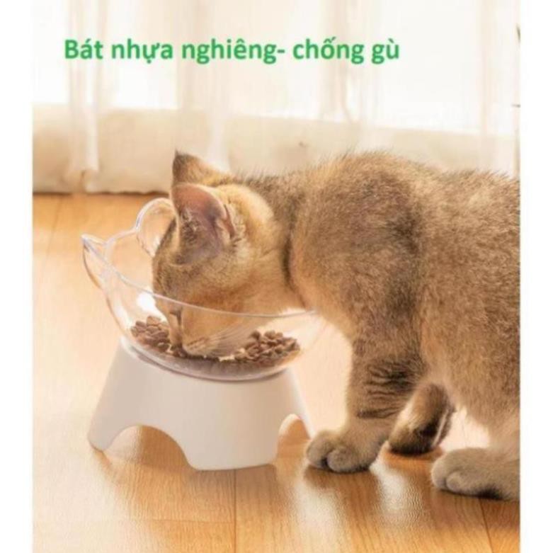 BÁT NHỰA NGHIÊNG CHO CHÓ MÈO - CHÉN ĐỰNG THỨC ĂN CHỐNG GÙ THÚ CƯNG NHỎ