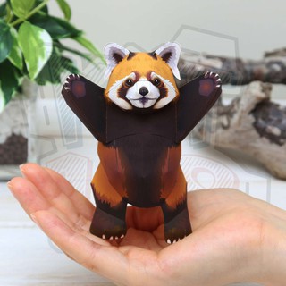 Mô hình giấy động vật Gấu trúc đỏ