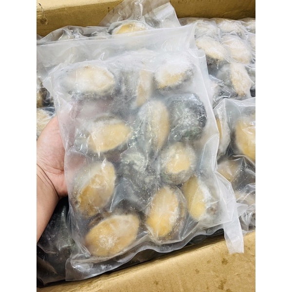 Giá Sỉ 1kg Bào Ngư Abalone Size 12 Con