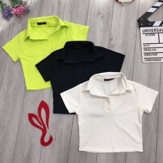 Áo thun cổ bẻ croptop chất đẹp