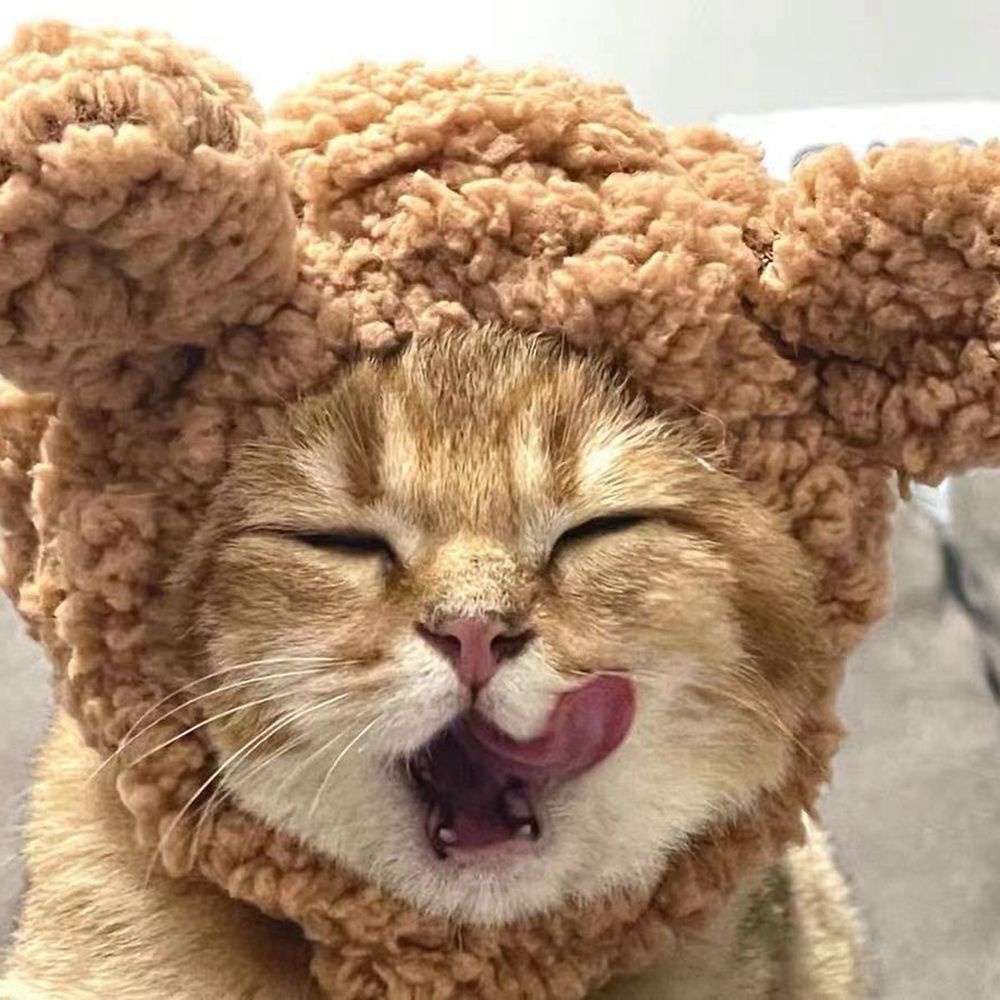 Nón Đội Tai Gấu Dễ Thương Cho Thú Cưng