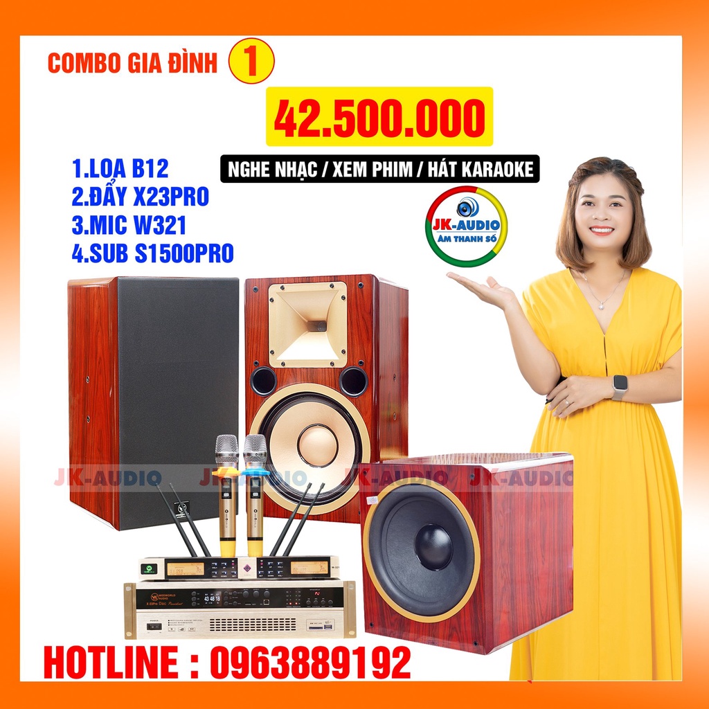 Bộ dàn karaoke gia đình loa B12 giá 42,5 triệu