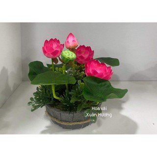 chậu hoa sen trang trí