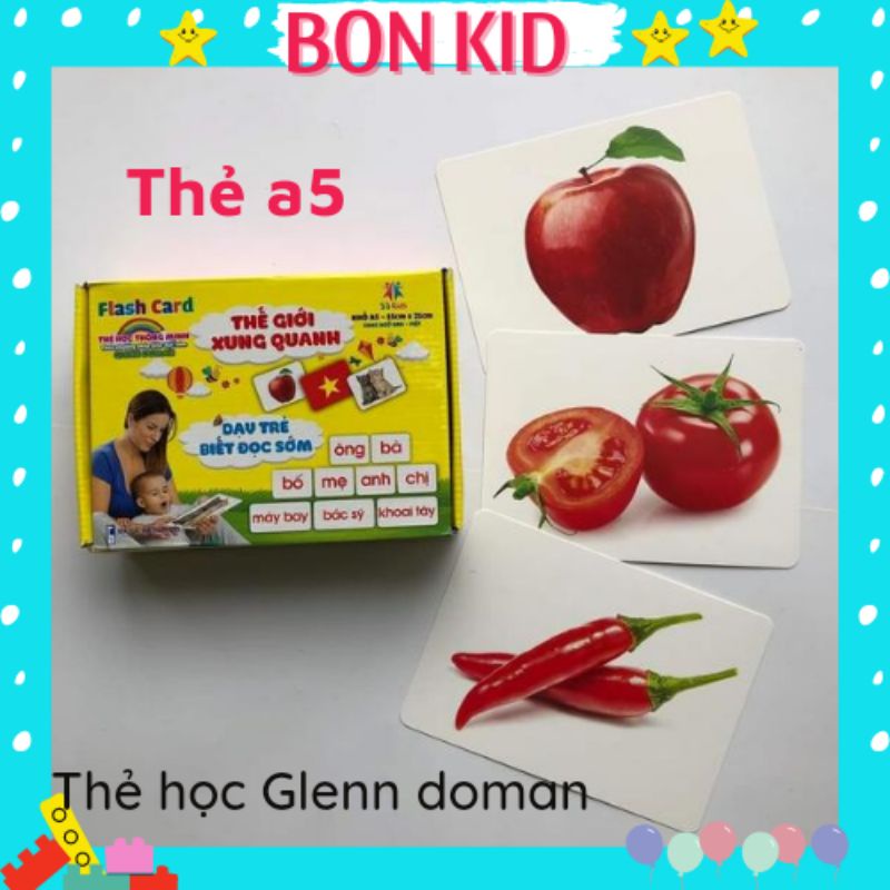 Bộ thẻ học Glenn Doman kt TO A5 - 15x21cm dạy bé nhận biết về Thế giới xung quanh, kết hợp dạy Từ vựng.