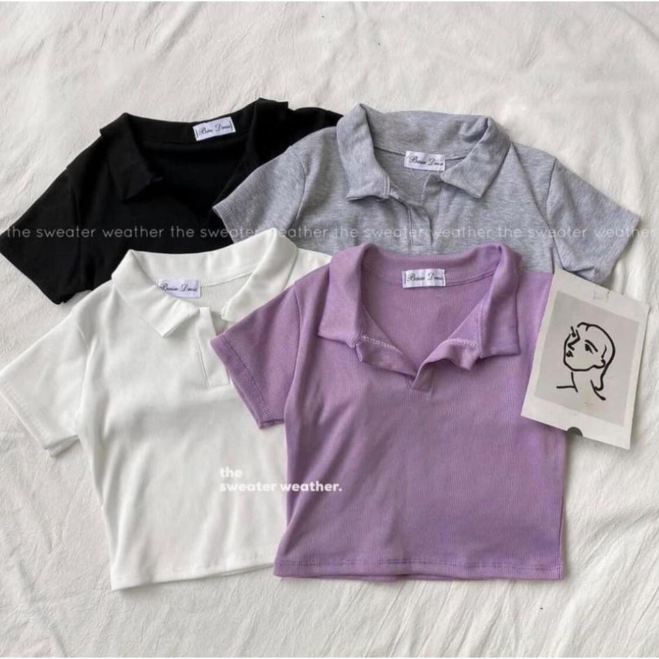 Áo Croptop Polo Cộc Tay Nữ , 🌹KemVintage<FREESHIP>🌹, Áo Cổ Bẻ Chất Thun Gân, Áo Croptop Cổ Tim 3 Màu ĐEN TRẮNG GHI | BigBuy360 - bigbuy360.vn