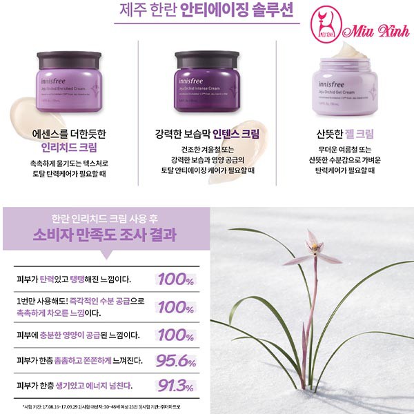 KEM DƯỠNG DA [INNISFREE] Jeju Orchid Enriched Cream (NEW)