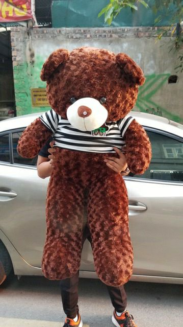 SALE LỚN - Gấu Bông Teddy Cao Cấp khổ vải 1m6 Cao 1m4 Màu nâu hàng VNXK - Gấu bông teddy xinh xắn GẤM LUXURY