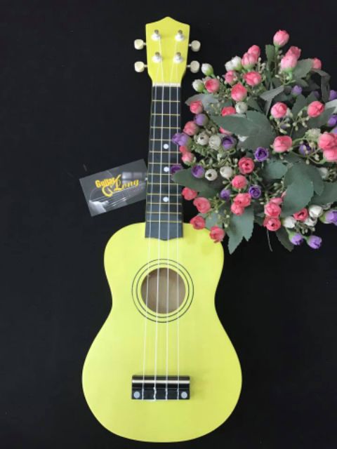 Combo 5 Ukulele soprano giá rẻ khuyến mãi capo và bao da thời trang - HÀNG CÓ SẴN