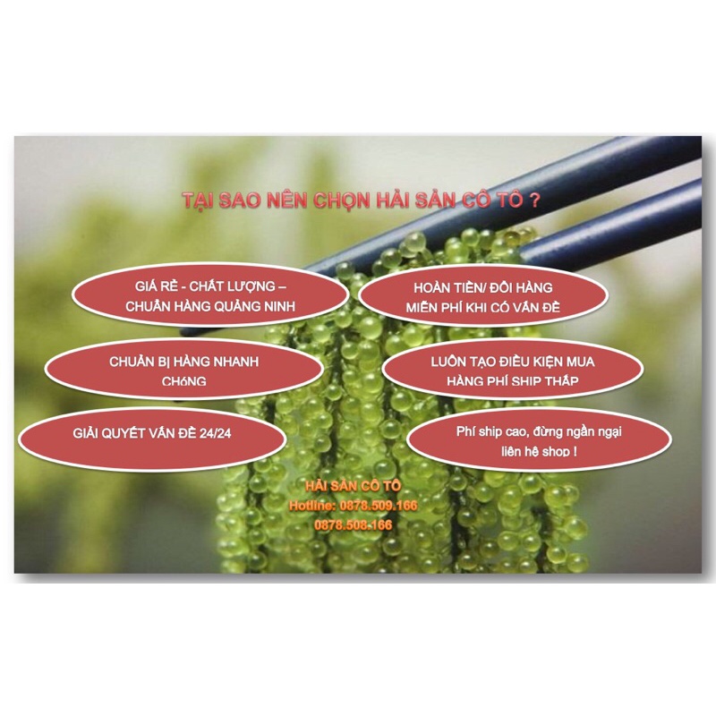 KHÔ CÁ CƠM Đã sơ chế sạch QUẢNG NINH/ CÁ DUỘI - HẢI SẢN CÔ TÔ