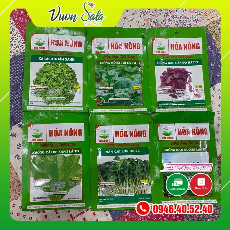 [combo 6 loại rau dễ trồng] Hạt giống rau